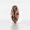 1 Mukhi Indonesian (Bead No. 1)