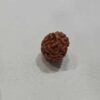 3 Mukhi Indonesian