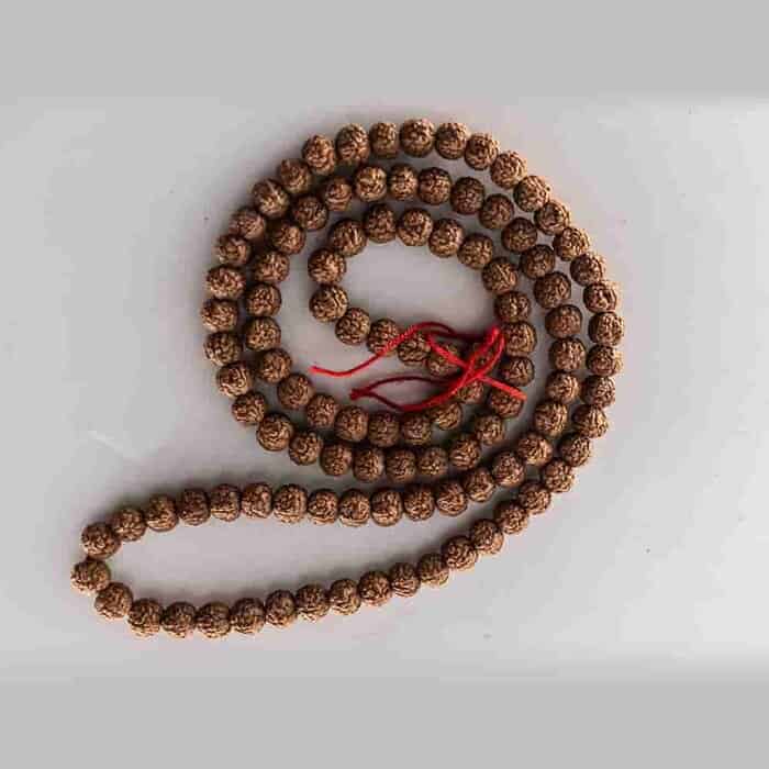 Nepalese and Indonesian Rudraksha Beads