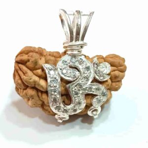 1 Mukhi