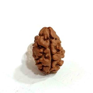 2 Mukhi