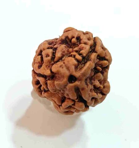 3 Mukhi Nepali