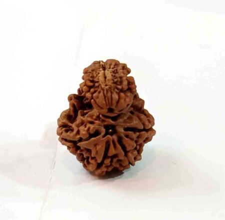 Nag Sawar Nepali NS-005
