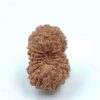 17 Mukhi Indonesian(Size-18MM,Weight-1 gram)