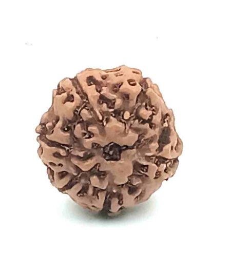 6 mukhi Indonesian
